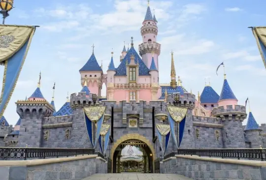 Hombre de 26 años es arrestado en Disneyland por desnudarse en una de sus atracciones