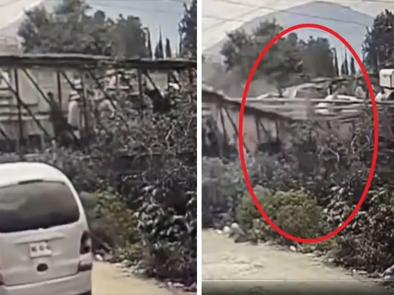 Captan momento exacto en que colaps&oacute; puente peatonal en Edomex. 