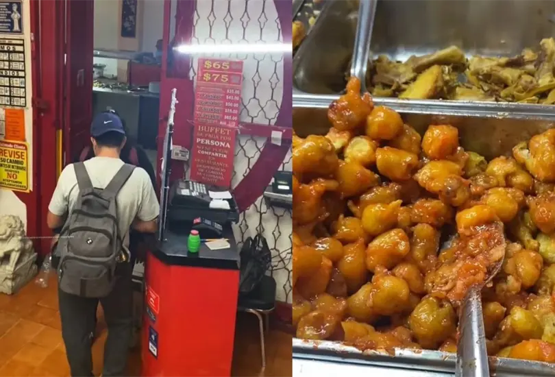 Aqu&iacute; podr&aacute;s encontrar diferentes platillos de comida china que incluyen verduras al vapor, pollo a la naranja, tallarines, arroz frito, rollos primavera, costillas de cerdo, barra de postres y mucho m&aacute;s