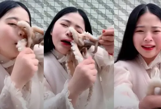 La influencer china Seaside girl Little Seven, quien experimentó un inusual giro de eventos mientras intentaba comer un pulpo vivo durante una transmisión en vivo.