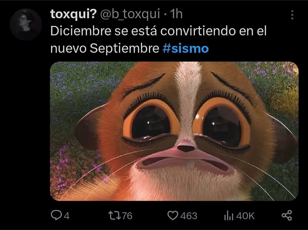 La magnitud, seg&uacute;n inform&oacute; el Servicio Sismol&oacute;gico Nacional, fue de 2.8 grados, 
