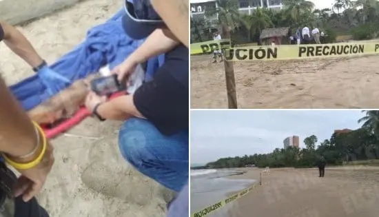 Un hombre de nacionalidad canadiense y una mujer habr&iacute;an sido atacados por un tibur&oacute;n en Guerrero.