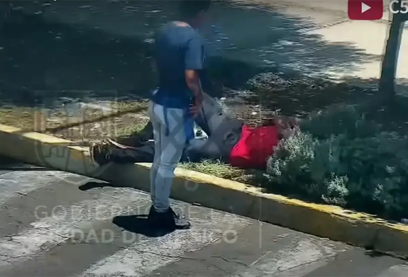 La vendedora de frutas tom&oacute; el tel&eacute;fono y regres&oacute; a su puesto fingiendo que no hab&iacute;a ocurrido nada