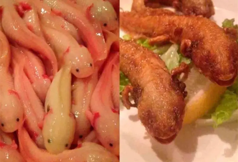 Restaurante japon&eacute;s causa indignaci&oacute;n por vender ajolotes fritos. 