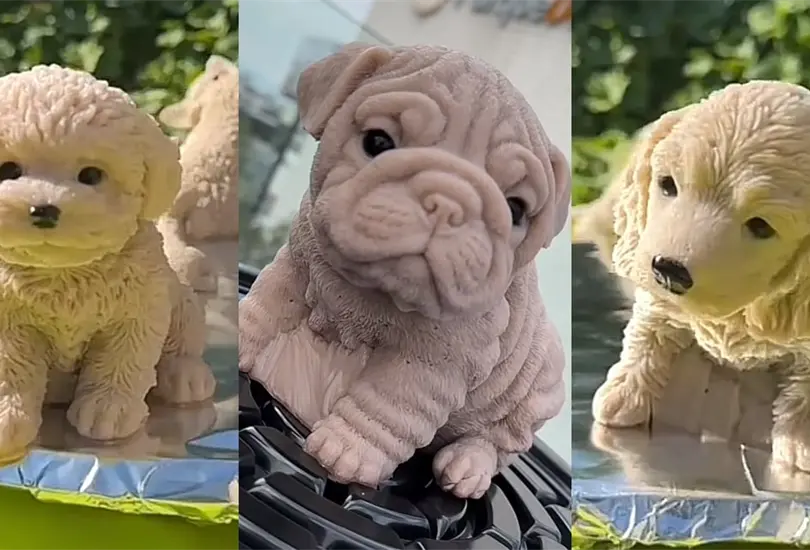 Gelatinas 3D de perritos, la tendencia viral que conquista las redes Gelatinas 3D de perritos, la tendencia viral que conquista las redes