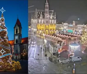 ¡Triste Navidad! Muere mujer aplastada por gigantesco árbol de 20 Metros