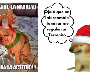 ´Usted nunca cuido a la abuela´: Estos son los mejores memes navideños de este 2023