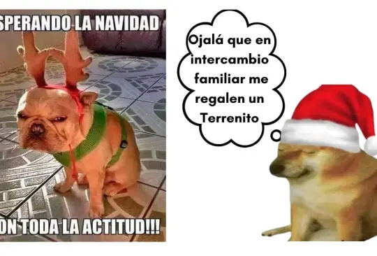 ´Usted nunca cuido a la abuela´: Estos son los mejores memes navideños de este 2023