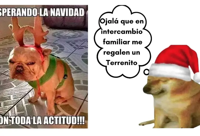 &acute;Usted nunca cuido a la abuela&acute;: Estos son los mejores memes navide&ntilde;os de este 2023