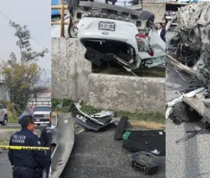 VIDEO El impactante choque de un auto a toda velocidad contra un árbol; se partió en dos