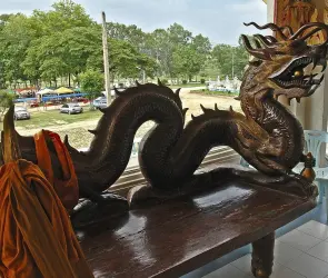 2024 El Año del Dragón de Madera: innovación y transformación en el Horóscopo Chino