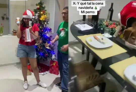 Perrito se come la cena de Navidad de familia mientras intercambiaban los regalos 