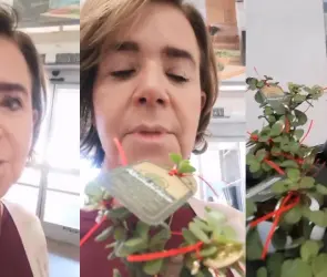 Mujer critica a Walmart por vender "plantas anticristianas" para Año Nuevo
