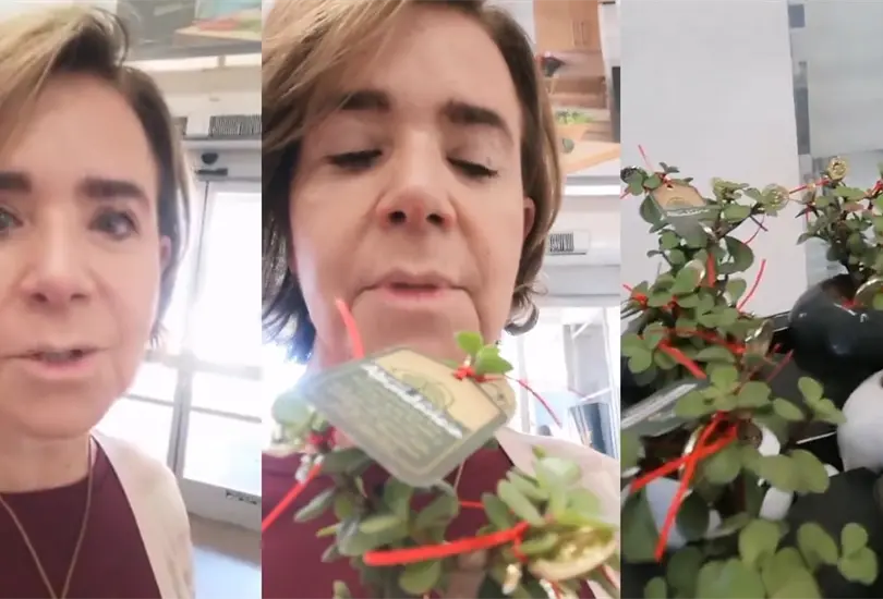 Mujer critica a Walmart por vender plantas anticristianas para A&ntilde;o Nuevo