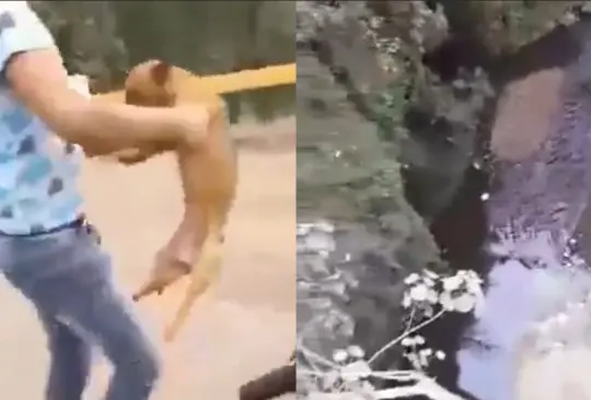 Adolescentes se graban al lanzar y disparar a perrito desde el Puente de la Novia Adolescentes se graban al lanzar y disparar a perrito desde el Puente de la Novia