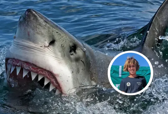 Joven surfista muere atacado por un tiburón blanco.