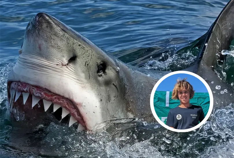 Joven surfista muere atacado por un tiburón blanco. Joven surfista muere atacado por un tiburón blanco.