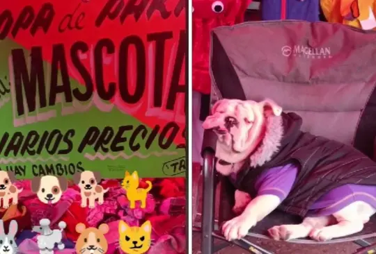 Ropa de paca para mascotas