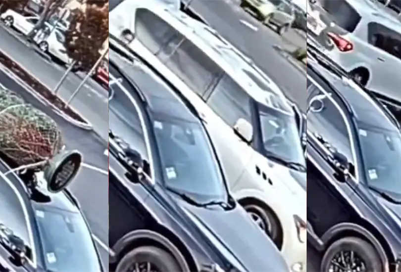 Los ladrones vieron la oportunidad y a plena luz del d&iacute;a se llevaron el &Aacute;rbol de Navidad.