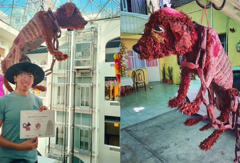 Pi&ntilde;ata de perrito maltratado causa pol&eacute;mica en redes sociales
