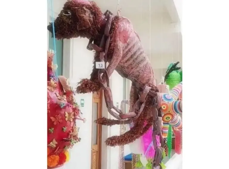 Piñata de perrito maltratado causa polémica en redes sociales Créditos: SS