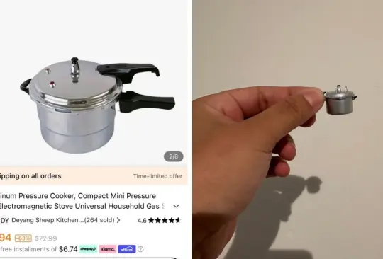 Compra en Temu se hace viral Compra en Temu se hace viral