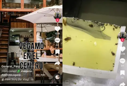 Denuncian en redes plaga de cucarachas en restaurante de la CDMX