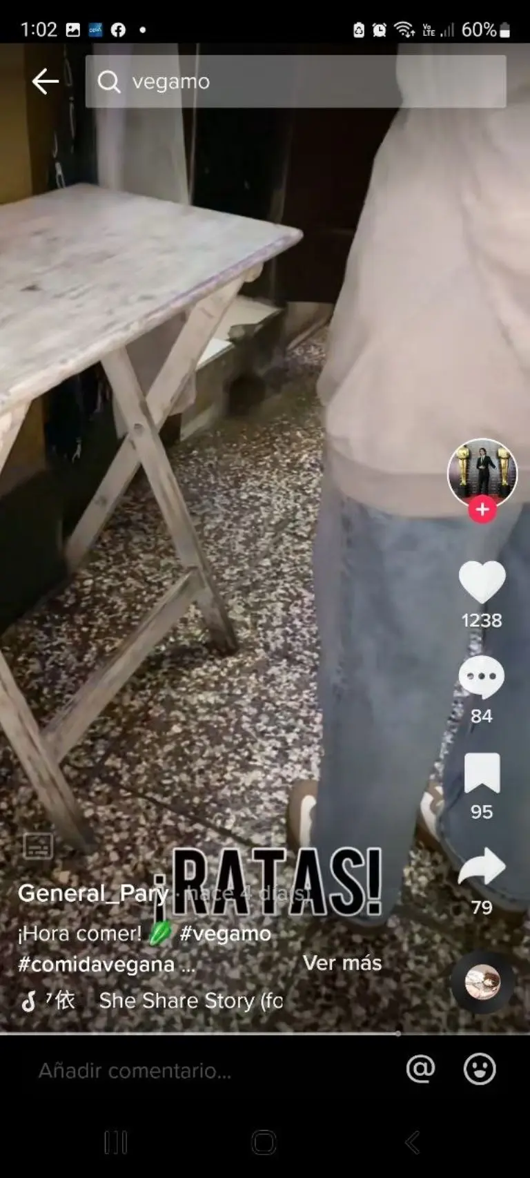 Denuncia plaga de cucarachas en Vegamo - Tomada de video