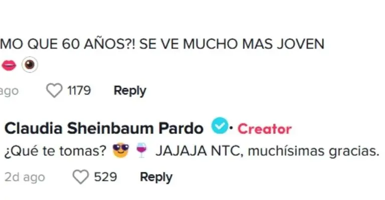 Otra interacción entre Sheinbaum y un usuario de TikTok. Captura de pantalla.