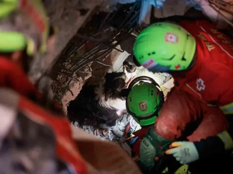 As&iacute; fue el momento en que Balam logr&oacute; rescatar a una persona con vida 
