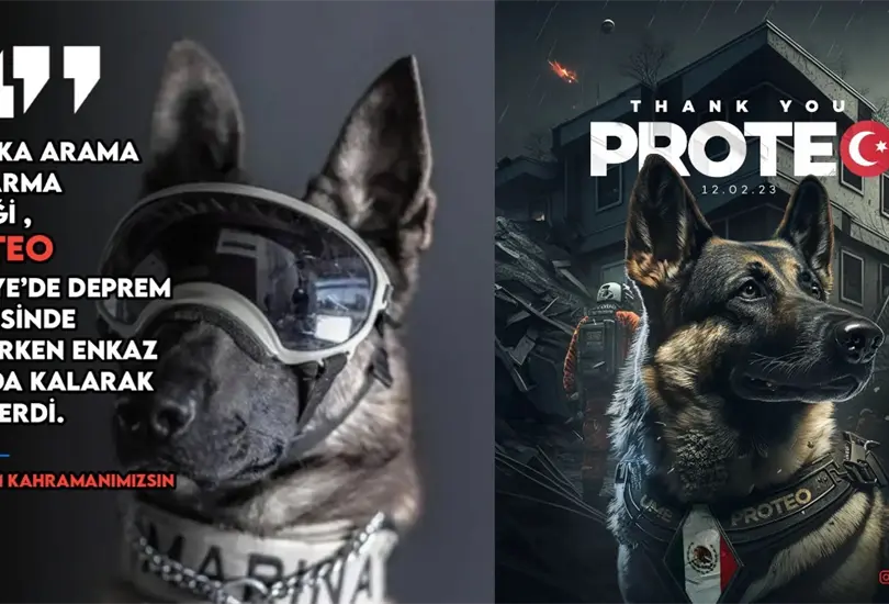 Eres nuestro héroe, despidieron las redes sociales turcas al perrito Proteo y el diseñador Burak Türker le hizo un retrato en homenaje. Eres nuestro héroe, despidieron las redes sociales turcas al perrito Proteo y el diseñador Burak Türker le hizo un retrato en homenaje.