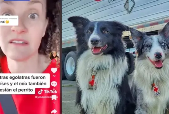 Argentina arremete contra perritos rescatistas