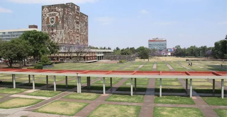 La UNAM determinó que la tesis de la ministra es una 'copia sustancial' Créditos: Especial