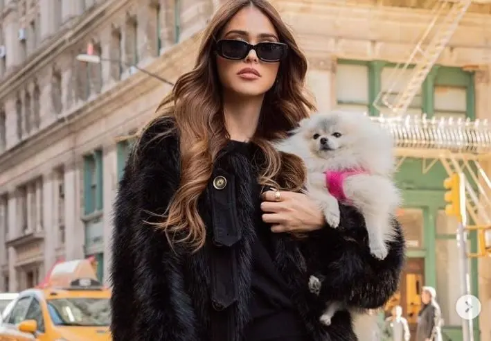 Adem&aacute;s de ser conductora de televisi&oacute;n e influencer, tambi&eacute;n ha participado en pel&iacute;culas como &acute;Sharknado 5: Calentamiento global&acute;  y &acute;Bellezonismo&acute;.