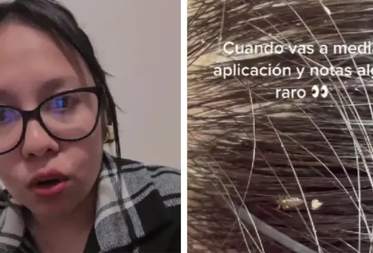 Estilista le encuentra piojo a clienta