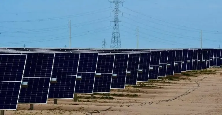 Paneles solares de la Central Fotovoltaica de Puerto Peñasco, en Sonora. Imagen: Presidencia.