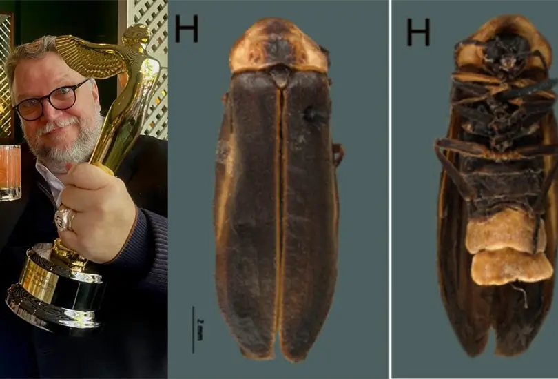 Un grupo del Instituto de Biolog&iacute;a de la UNAM hall&oacute; 48 especies nuevas de luci&eacute;rnagas y nombr&oacute; una de ellas en honor al cineasta Guillermo del Toro.