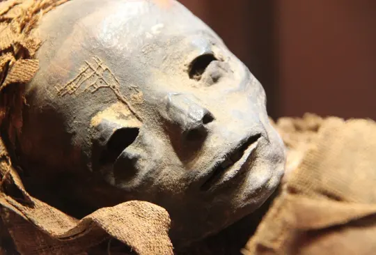 Visitantes del templo donde la conservaban, solían rezar ante ella y le atribuían propiedades curativas.