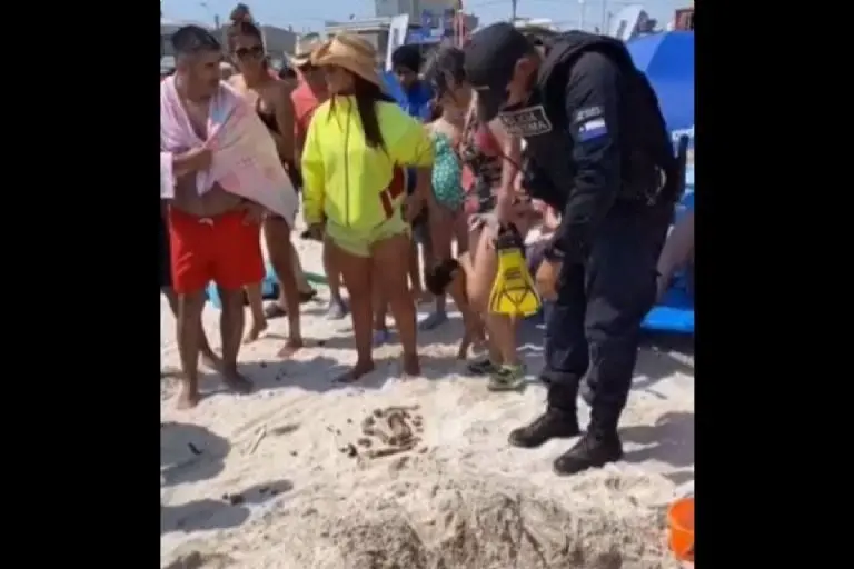 Jóvenes encuentran decenas de huesos en la playa - Tomada de video