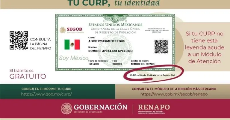 Los datos que debe tener la CURP. Imagen: Segob.