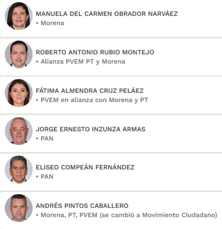 Los seis legisladores restantes que pudieron usurpar el lugar de personas pertenecientes a grupos subrepresentados. Imagen: Captura de Pantalla.