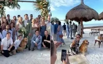 El perrito Murph se volvi&oacute; viral en redes sociales 
