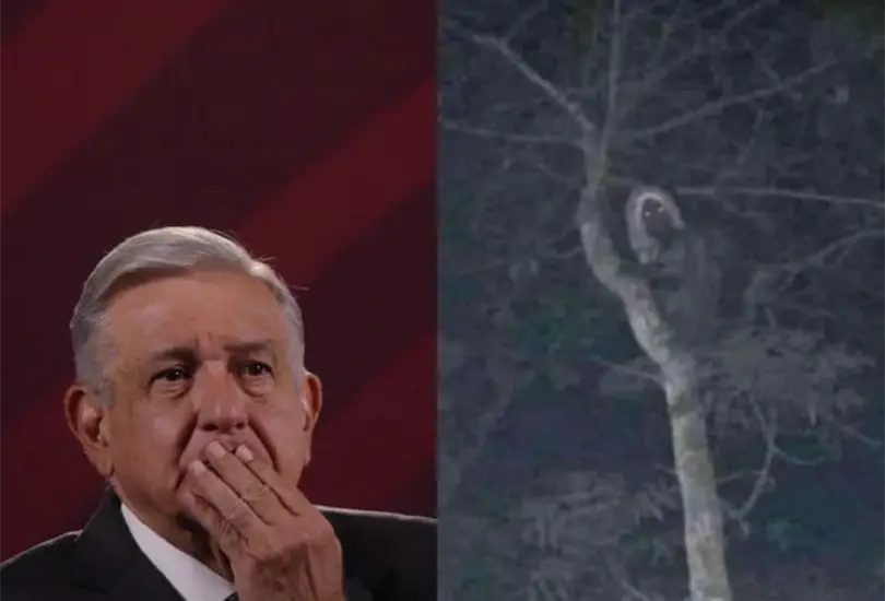 El Presidente comparti&oacute; una foto, que fue difundida en 2021, de lo que dijo podr&iacute;a ser un aluxe, es decir, un ser sobrenatural cuya funci&oacute;n, seg&uacute;n cosmogon&iacute;a maya, es cuidar milpas.