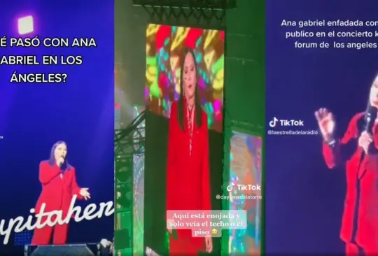 En una de sus últimas presentaciones como cantante, Ana Gabriel se peleó con los fans que la abuchearon por hablar de política. En una de sus últimas presentaciones como cantante, Ana Gabriel se peleó con los fans que la abuchearon por hablar de política.