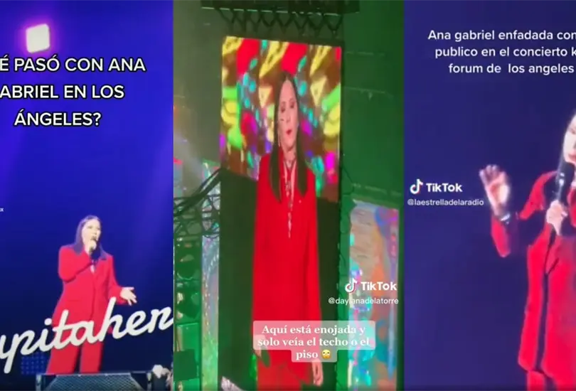 En una de sus &uacute;ltimas presentaciones como cantante, Ana Gabriel se pele&oacute; con los fans que la abuchearon por hablar de pol&iacute;tica.
