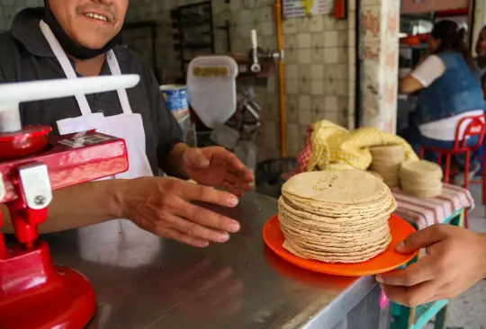 Costo kilo de tortillas según la Profeco. 