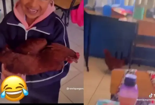 La alumna se confunió y terminó llevando una gallina a la escuela