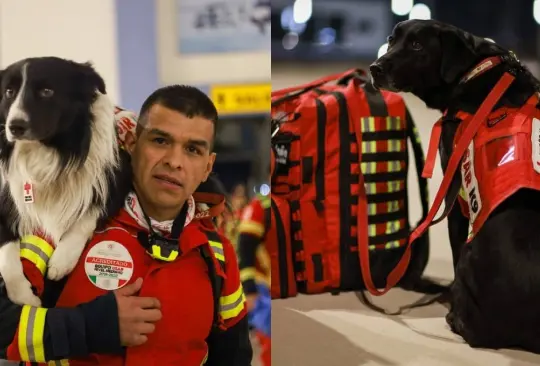 Despegó el avión de la Fuerza Aérea con los equipos mexicanos de rescate y 16 caninos hacia Turquía, donde devastadores sismos causaron miles de fallecidos y heridos.