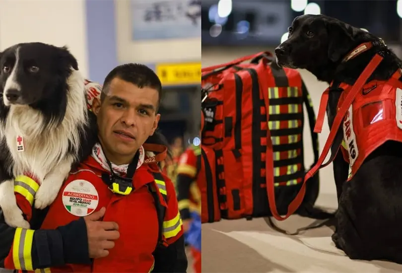 Despeg&oacute; el avi&oacute;n de la Fuerza A&eacute;rea con los equipos mexicanos de rescate y 16 caninos hacia Turqu&iacute;a, donde devastadores sismos causaron miles de fallecidos y heridos.