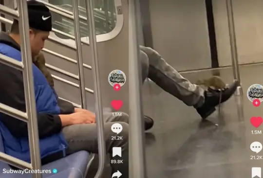El hombre dormía plácidamente cuando de pronto una enorme rata comenzó a trepar por su pie hasta llegar a su cabeza El hombre dormía plácidamente cuando de pronto una enorme rata comenzó a trepar por su pie hasta llegar a su cabeza